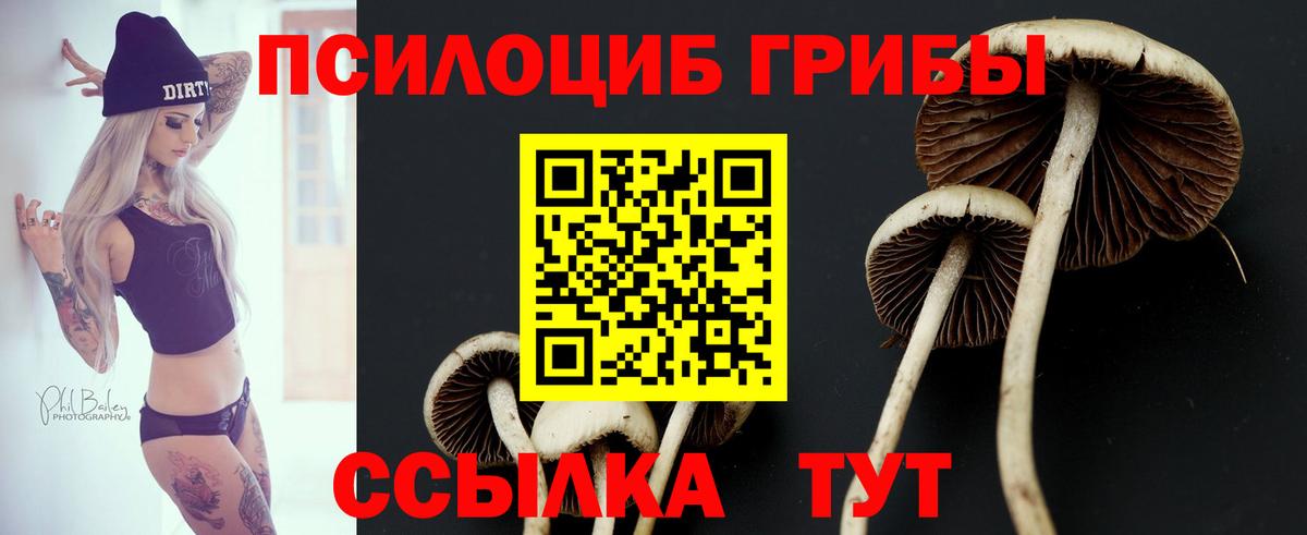 Галлюциногенные грибы Magic Shrooms Воскресенск